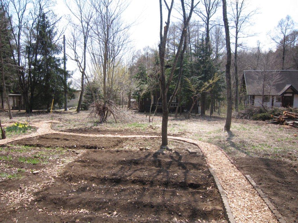 ジャガイモを植えた畑